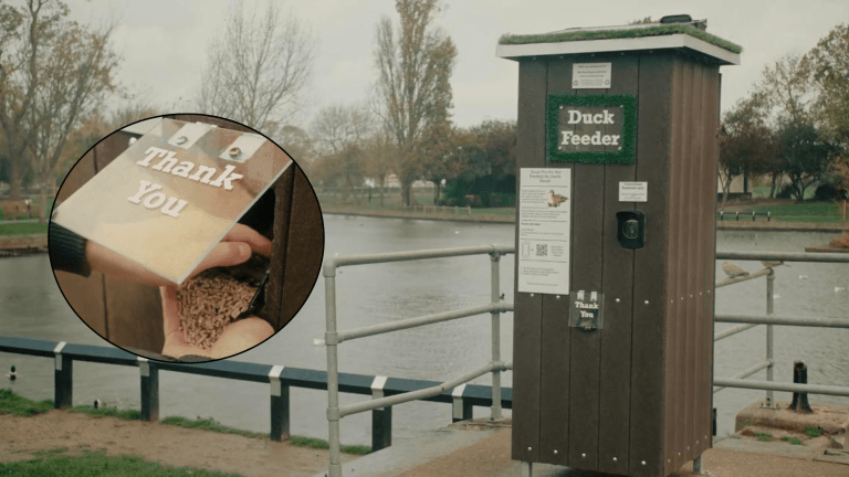 Duck Feed Dispensers