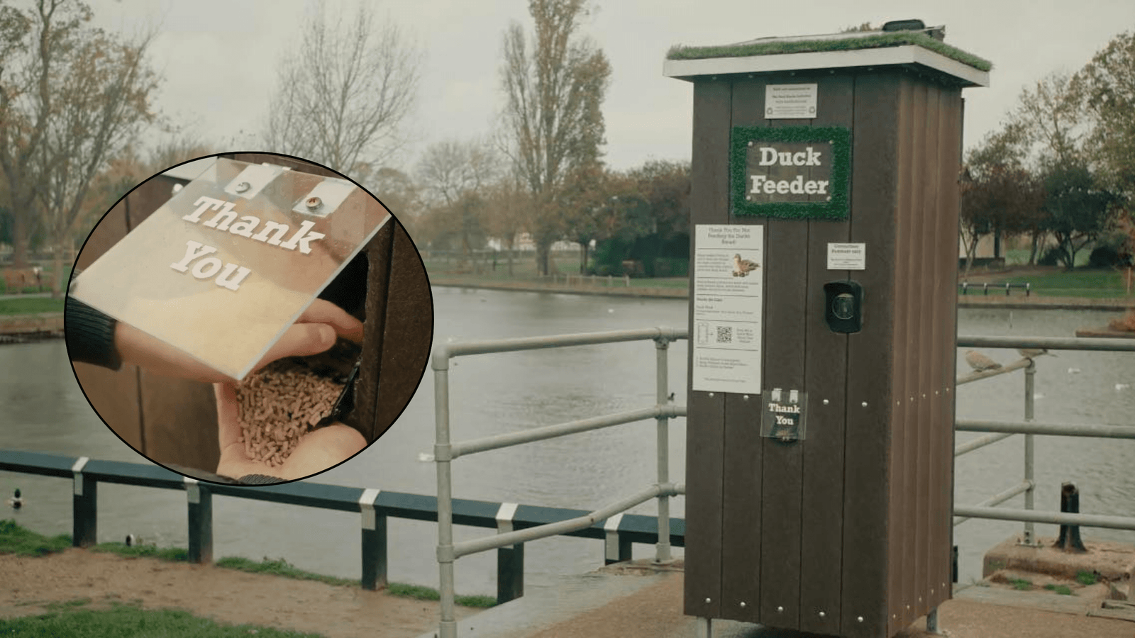 Duck Feed Dispensers