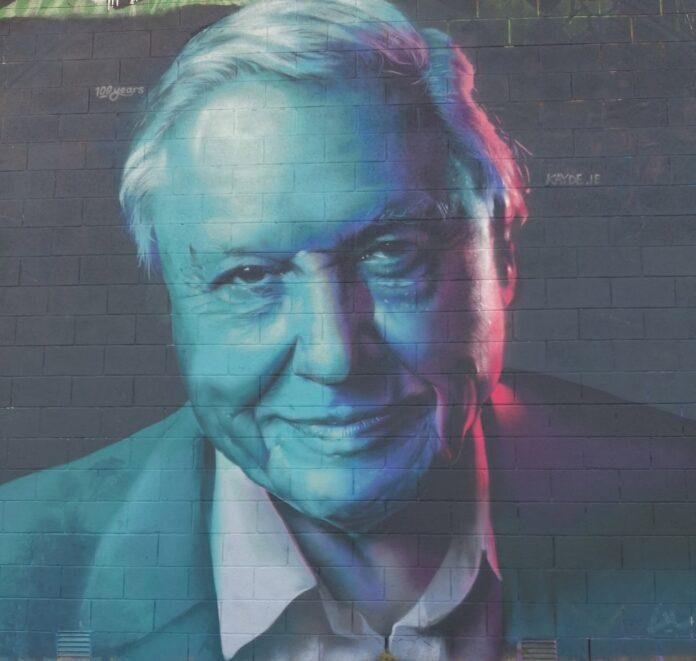 David Attenborough Mural